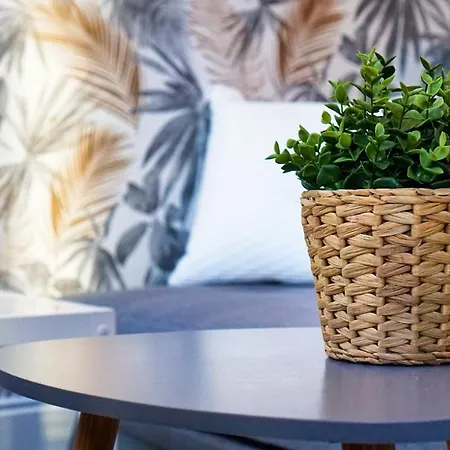 Cosy - En Face De La Gare, Au Centre Apartment Epinal