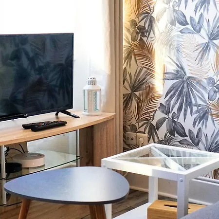 Apartment Cosy - En Face De La Gare, Au Centre Epinal